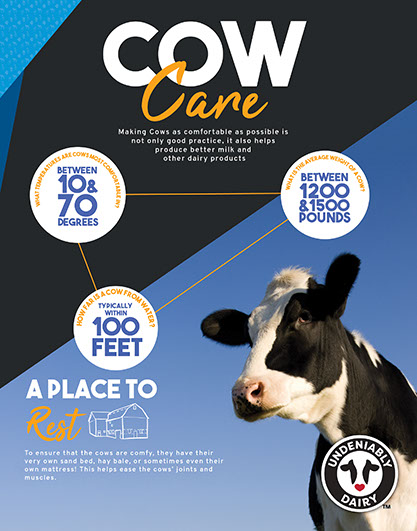 Design Your Experience | General Poster | COW CARE